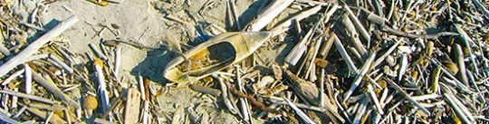 Schuh gelb im Sand