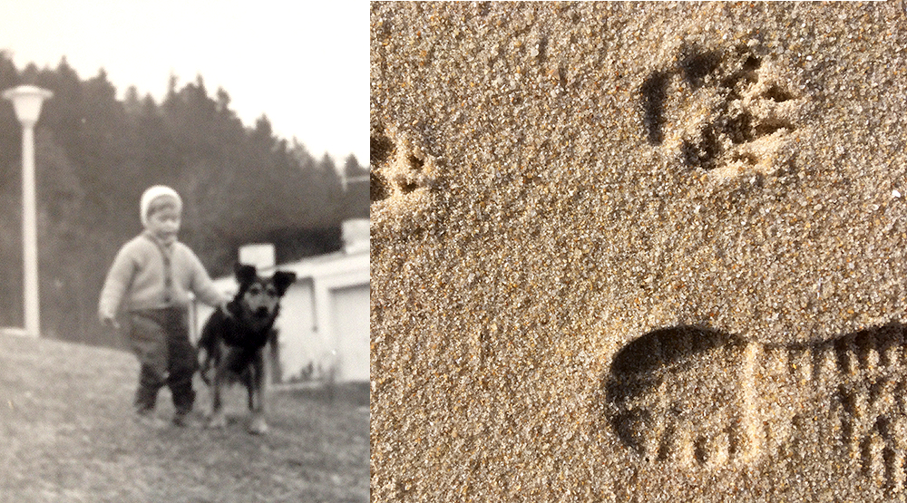 favourite dog and traces in the sand