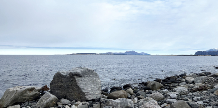 Alesund, Godoy, Rollo